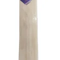 DSC Krunch 9.0 English Willow Cricket Bat