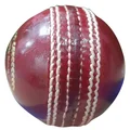 SG Club Red Cricket Ball 12 Ball set