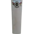 SS Sir Recahrds English Willow Cricket Bat Standard Size