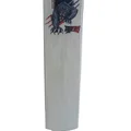 SS Devils English Willow Cricket Bat (Standard Size Short Handle)