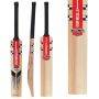 Gray Nicolls GN1 DELTA English Willow SH Cricket Bat