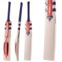 Gray Nicolls GN1 MEGAPOWER English Willow SH Cricket Bat 