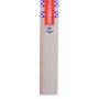 Gray Nicolls Megapower GN7 English Willow Cricket Bat
