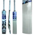 SS Master 100 Kashmir Willow Cricket Bat (Standard Size Short Handle)