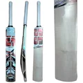 SS Master Kashmir Willow Cricket Bat (Standard Size Short Handle)