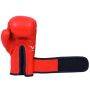 Invincible Amateur Kids Training Boxing Gloves