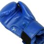 Invincible Amateur Training Boxing Gloves