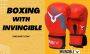Invincible Amateur Kids Training Boxing Gloves