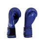Invincible Extreme Competition Boxing Gloves Approved by IABF