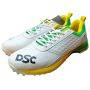 DSC Jaffa GT Cricket Shoes YLGR 24 Color