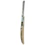 SS DRE RUSS Kashmir Willow Cricket Bat