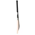 SF Ranger Player Edition English WIllow Cricket Bat (Standard Size Short Handle)