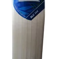 DSC BLU 300 English Willow Cricket Bat