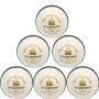 SF Bouncer White Cricket Ball Set Of 6