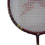 Exergy Hurricane Badminton Racket