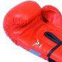 Invincible Amateur Kids Training Boxing Gloves