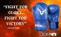 Invincible Amateur Training Boxing Gloves