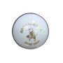 Kookaburra Pace White Cricket Ball Set of 12