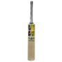SS DRE RUSS Kashmir Willow Cricket Bat