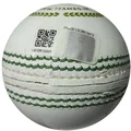 SG Club White Cricket Ball 12 Ball set