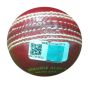 SG Club Red Cricket Ball 6 Ball set