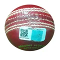 SG Club Red Cricket Ball 12 Ball set