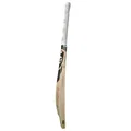 SG KLR Edition English Willow Cricket Bat (Standard Size Short Handle)