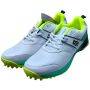 DSC Jaffa Neo Cricket Shoes Colour SGYL 24