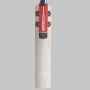 Gray Nicolls Gold Edition 2.0 English Willow Cricket Bat Size SH