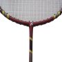 Exergy Hurricane Badminton Racket