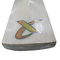 Thrax Platinum Ultimate Players Grade A English Willow Cricket Bat (Standard Size Short Handle)
