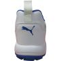 Puma Classicat Cricket Shoes Puma White Puma Team Royal Puma Silver