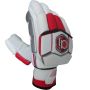 AJ Player Edition Cricket Batting Gloves White Red