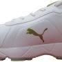 Puma Classicat Cricket Shoes Mettallic Gold Puma Silver Puma White