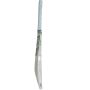 SG Liam Ultimate English Willow Cricket Bat