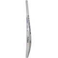 Thrax Grand Edition English Willow Cricket Bat (Size-6 Short Handle)