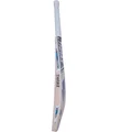 Thrax Terminator English Willow Cricket Bat (Standard Size Short Handle)