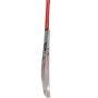 SS Ravindra Jadeja English Willow Cricket Bat