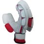 AJ Player Edition Cricket Batting Gloves White Red