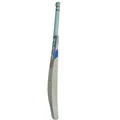 DSC Intense Speed English Willow Bat (Standard Size Short Handle)