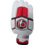 AJ Player Edition Cricket Batting Gloves White Red