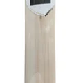 DSC Krunch 3.0 English Willow Cricket Bat (Standard Size Short Handle)