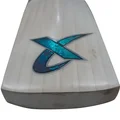 Thrax Platinum Maximus Players Grade A English Willow Cricket Bat (Standard Size Short Handle)
