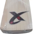 Thrax Roar Ultimate English Willow Cricket Bat (Standard Size Short Handle)