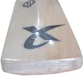 Thrax Black Edition Premium English Willow Cricket Bat (Standard Size Short Handle)