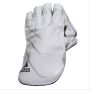 Adidas XT 2.0 Cricket Wicket Keeping Gloves