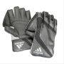 Adidas XT 4.0 Wicket Keeping Gloves