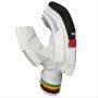 AJ Player Choice Cricket Batting Gloves