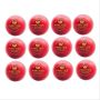 Aj Practice Cricket Ball Set of 12 Ball Red
