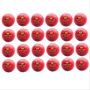 Aj Practice Cricket Ball Set of 24 Ball Red